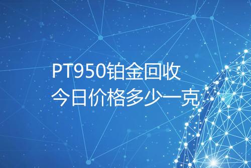 PT950铂金回收今日价格多少一克