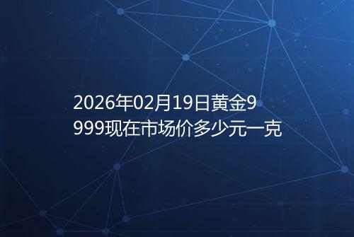 2026年02月19日黄金9999现在市场价多少元一克