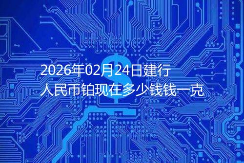 2026年02月24日建行人民币铂现在多少钱钱一克