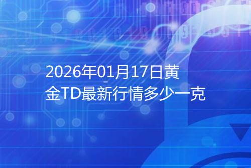 2026年01月17日黄金TD最新行情多少一克