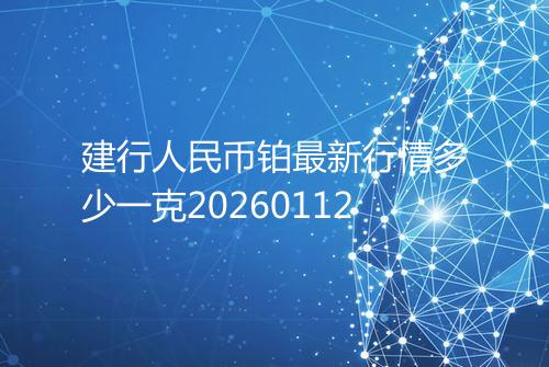 建行人民币铂最新行情多少一克20260112