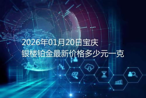 2026年01月20日宝庆银楼铂金最新价格多少元一克