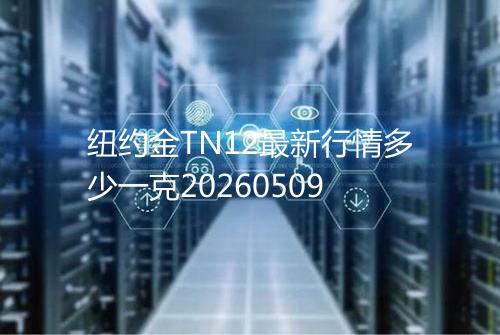 纽约金TN12最新行情多少一克20260509