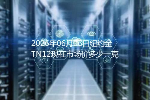 2026年06月06日纽约金TN12现在市场价多少一克