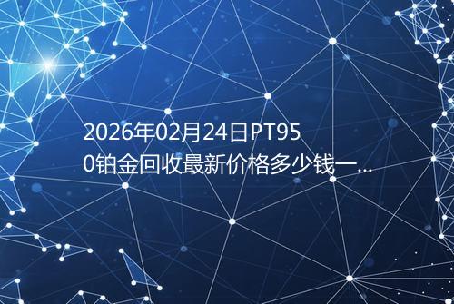 2026年02月24日PT950铂金回收最新价格多少钱一克
