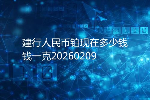 建行人民币铂现在多少钱钱一克20260209