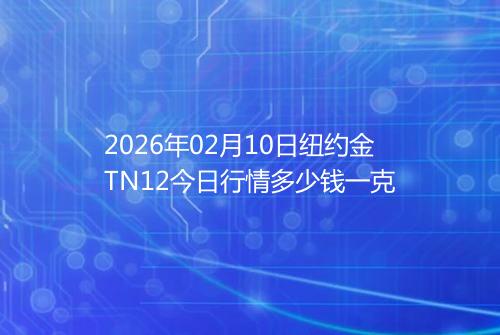 2026年02月10日纽约金TN12今日行情多少钱一克