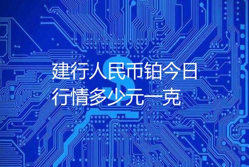 建行人民币铂今日行情多少元一克