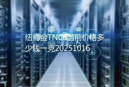 纽约金TN06当前价格多少钱一克20251016