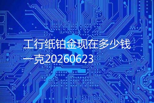 工行纸铂金现在多少钱一克20260623