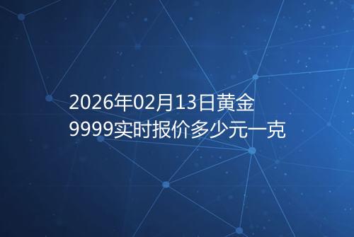 2026年02月13日黄金9999实时报价多少元一克