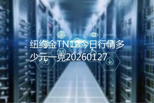 纽约金TN12今日行情多少元一克20260127