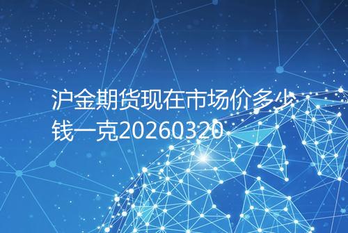 沪金期货现在市场价多少钱一克20260320