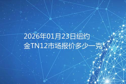2026年01月23日纽约金TN12市场报价多少一克