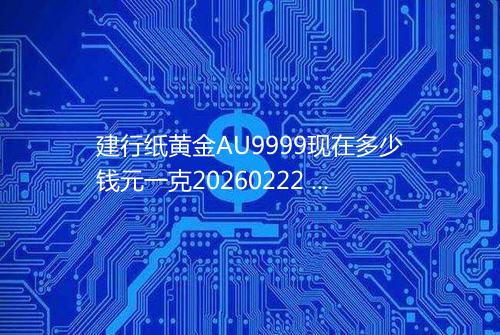 建行纸黄金AU9999现在多少钱元一克20260222 1537