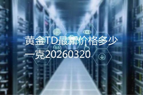黄金TD最新价格多少一克20260320