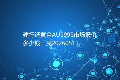 建行纸黄金AU9999市场报价多少钱一克20260511 2009