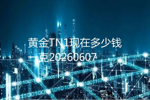 黄金TN1现在多少钱一克20260607