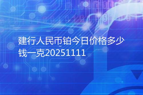 建行人民币铂今日价格多少钱一克20251111