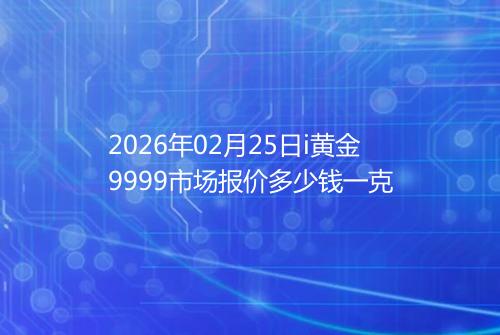 2026年02月25日i黄金9999市场报价多少钱一克
