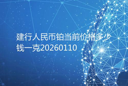 建行人民币铂当前价格多少钱一克20260110