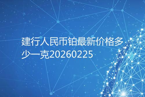 建行人民币铂最新价格多少一克20260225