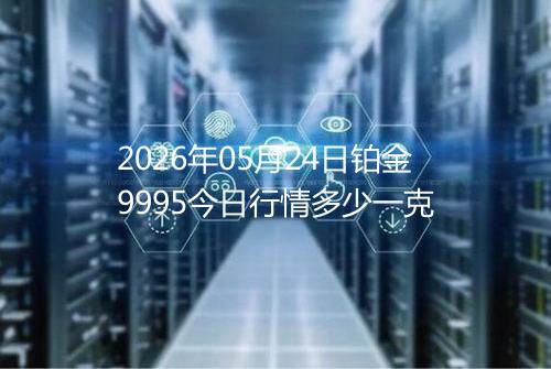 2026年05月24日铂金9995今日行情多少一克