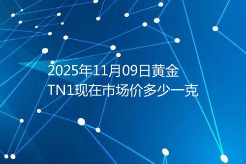 2025年11月09日黄金TN1现在市场价多少一克