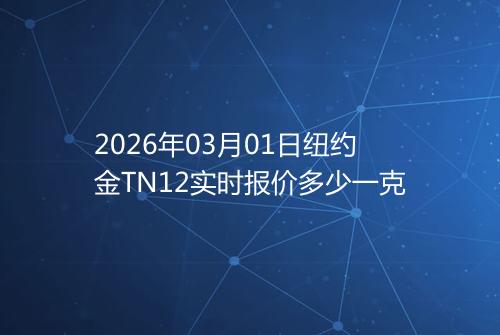 2026年03月01日纽约金TN12实时报价多少一克