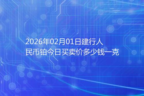 2026年02月01日建行人民币铂今日买卖价多少钱一克