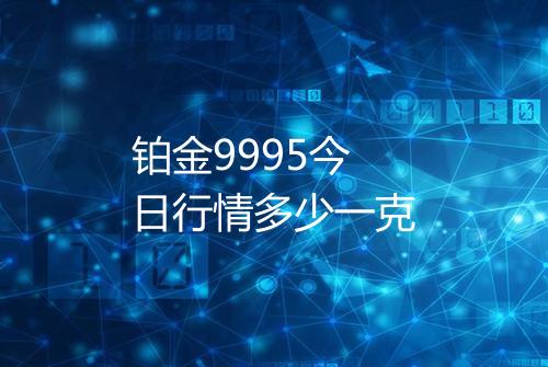 铂金9995今日行情多少一克