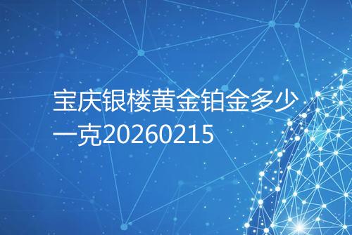 宝庆银楼黄金铂金多少一克20260215
