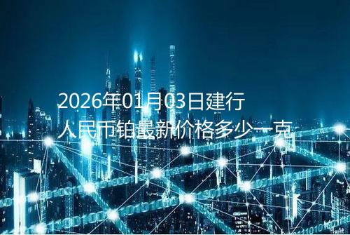2026年01月03日建行人民币铂最新价格多少一克