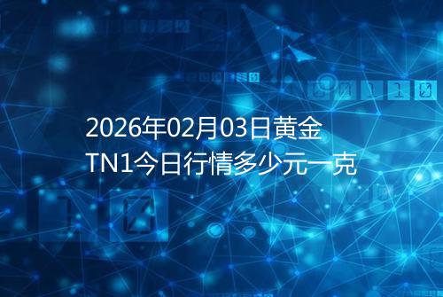 2026年02月03日黄金TN1今日行情多少元一克