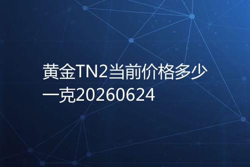 黄金TN2当前价格多少一克20260624
