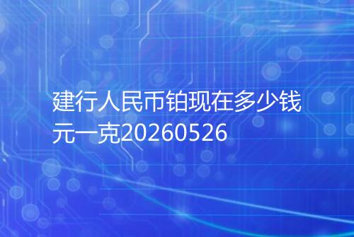 建行人民币铂现在多少钱元一克20260526