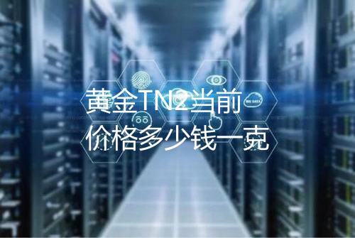 黄金TN2当前价格多少钱一克