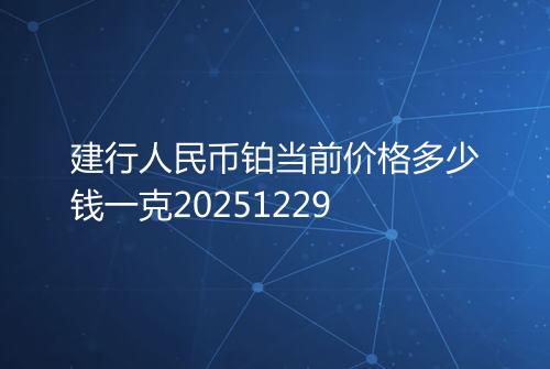 建行人民币铂当前价格多少钱一克20251229