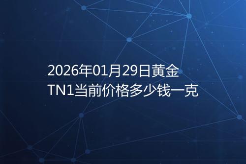 2026年01月29日黄金TN1当前价格多少钱一克