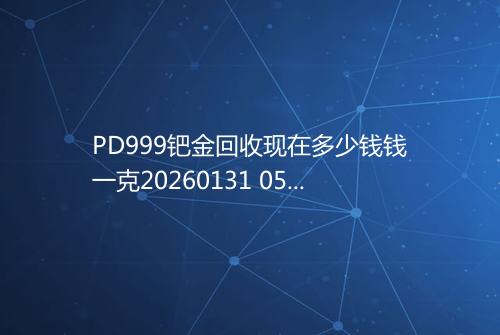 PD999钯金回收现在多少钱钱一克20260131 0542