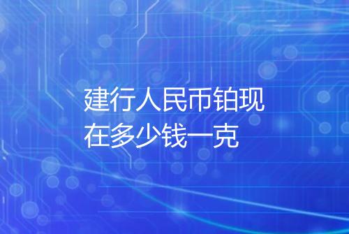 建行人民币铂现在多少钱一克