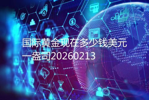 国际黄金现在多少钱美元一盎司20260213