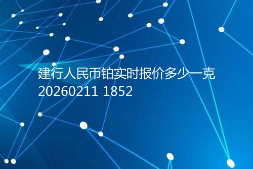 建行人民币铂实时报价多少一克20260211 1852