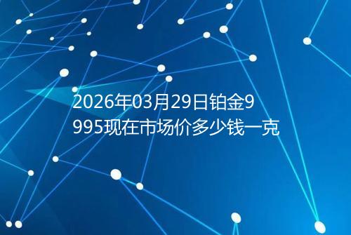 2026年03月29日铂金9995现在市场价多少钱一克