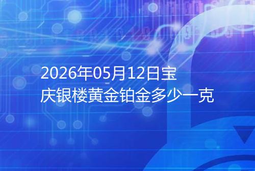 2026年05月12日宝庆银楼黄金铂金多少一克