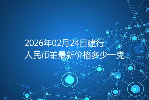 2026年02月24日建行人民币铂最新价格多少一克