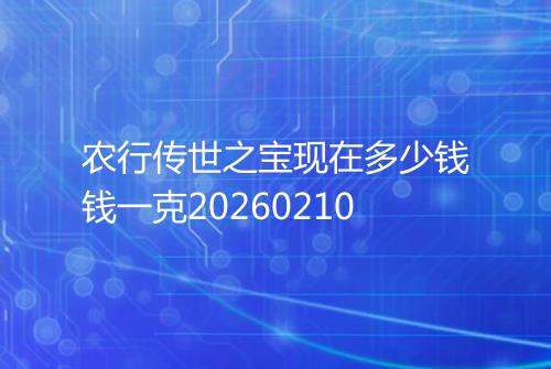 农行传世之宝现在多少钱钱一克20260210