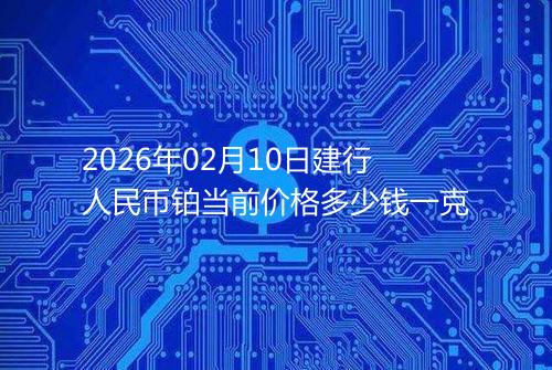 2026年02月10日建行人民币铂当前价格多少钱一克
