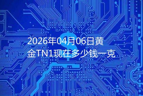 2026年04月06日黄金TN1现在多少钱一克