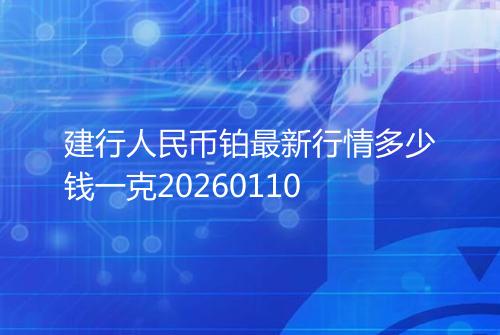 建行人民币铂最新行情多少钱一克20260110